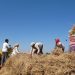 6 Ways Entrepreneurs Are Restoring Farms And Forests: The Land Accelerator South Asia